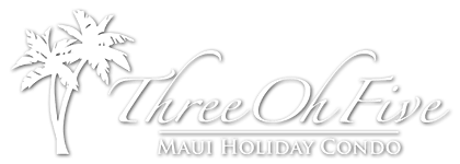 Maui Holiday Condo